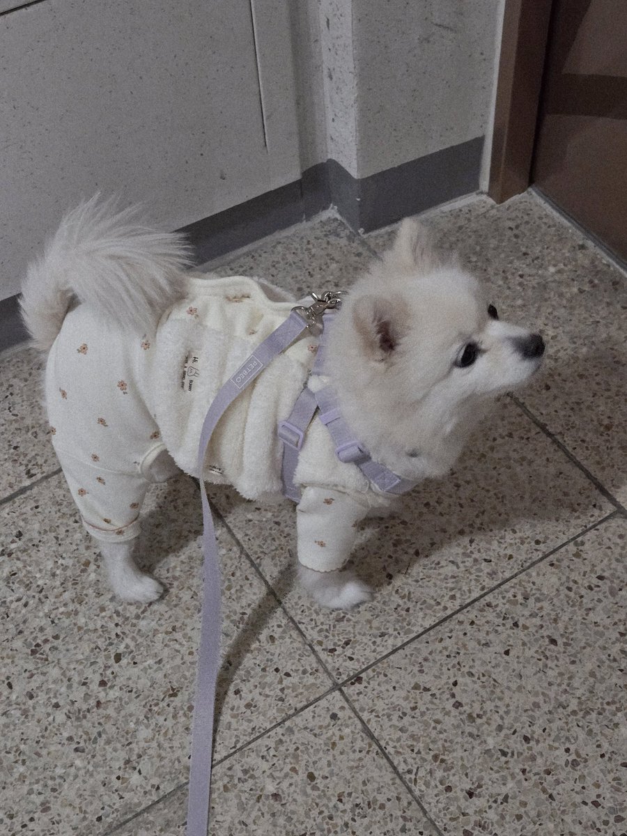 김겨울이랑 출근!!!