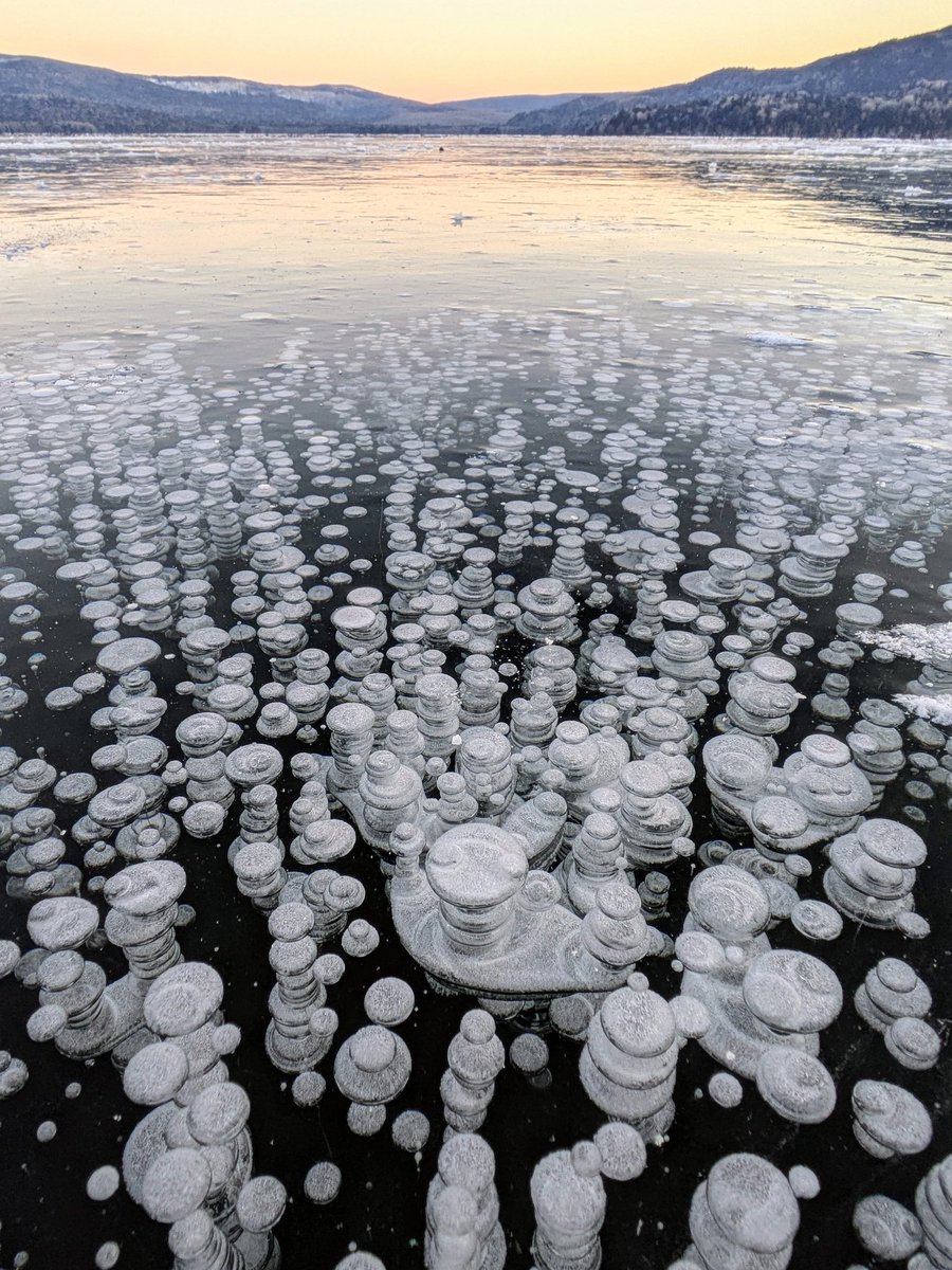 阿寒湖の
アイスバブル
今年も綺麗に
仕上がる

#北海道 
#阿寒湖 
#アイスバブル
