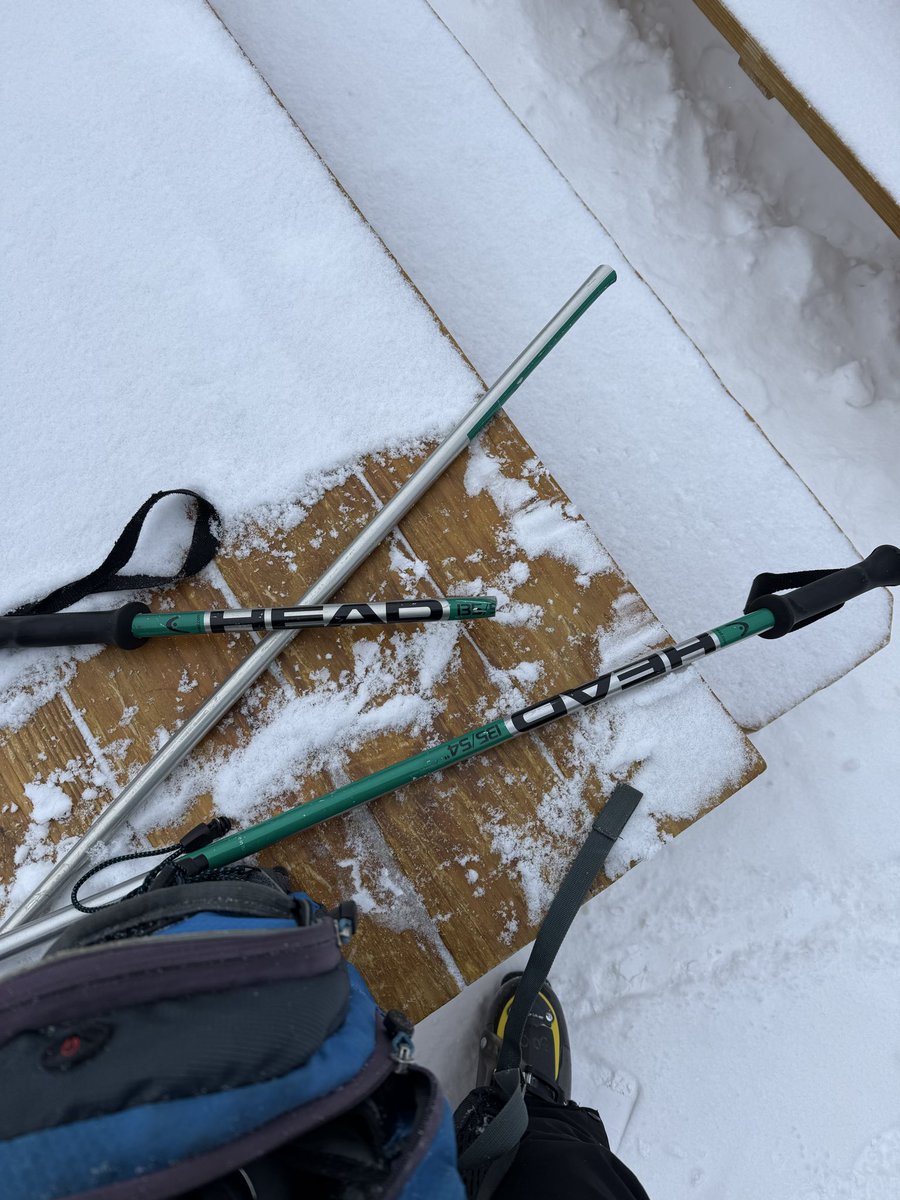 MikePierzchala's tweet photo. January yardsale https://t.co/WArw8lAzSj