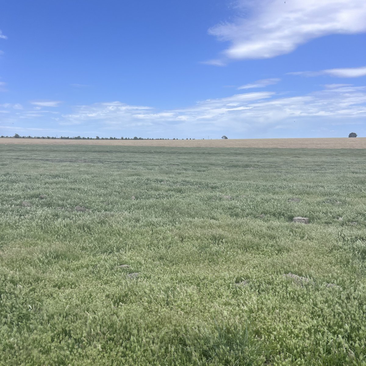 Precision Ag tweet media