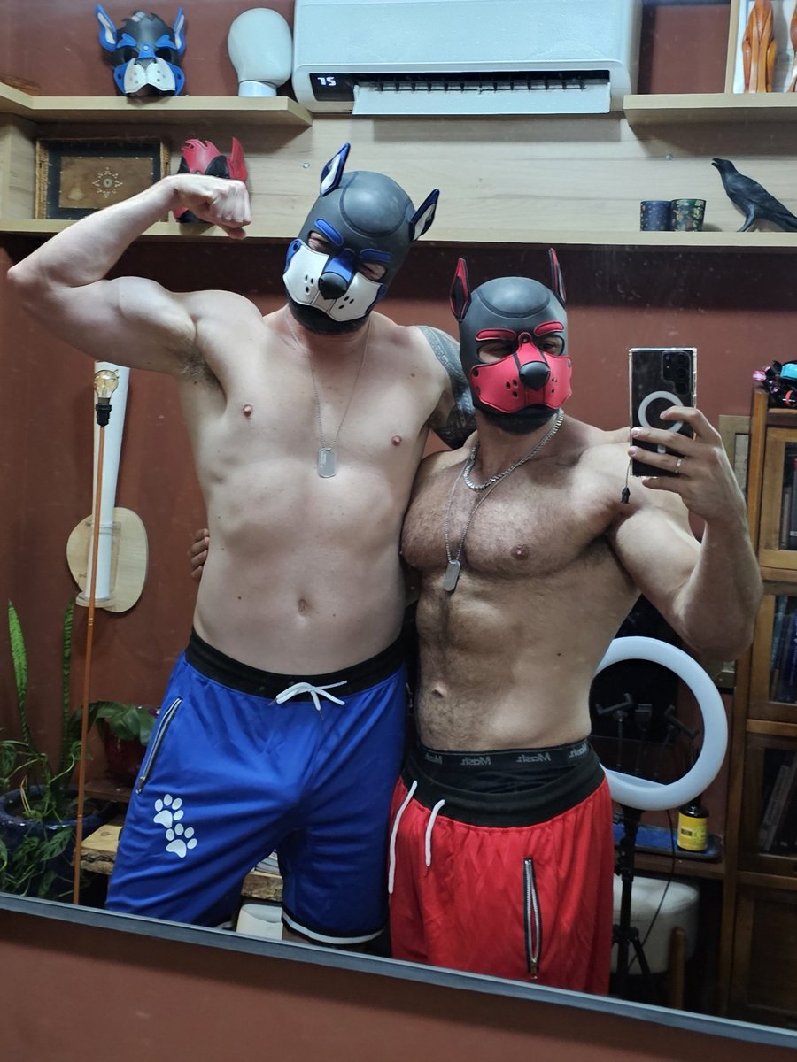 Bodybuilder Wannabe (BR-SP). tweet media