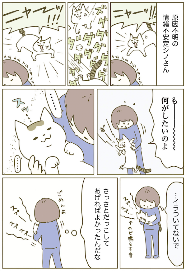 気づかなくてごめんよ🐱 