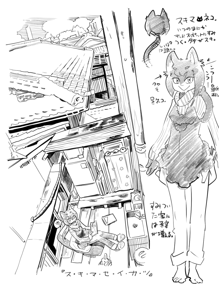 …ちなみにスキマ猫はこんな感じ。 