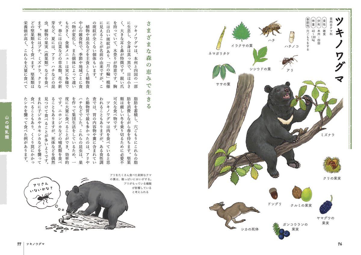 ながこです(⁠*⁠˘⁠︶⁠˘⁠*⁠)⁠ Happy birthday テスーーー！！ @thisis9493 #ケツとタッパのでかい女