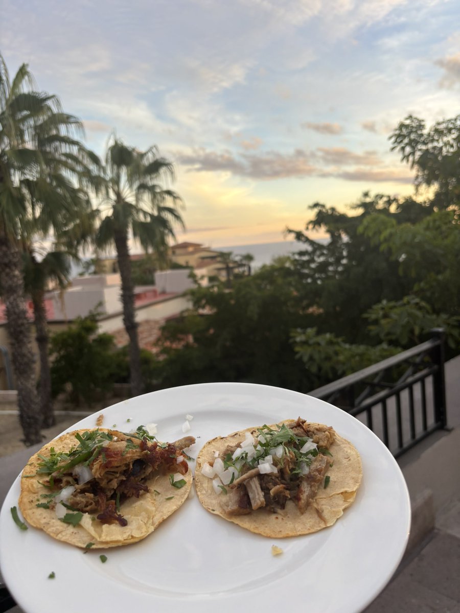 DowlerTaco's tweet image. 📍Mexico 

Very fitting.