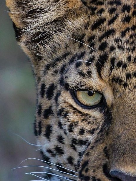 lia (@zoreleyes) on Twitter photo 