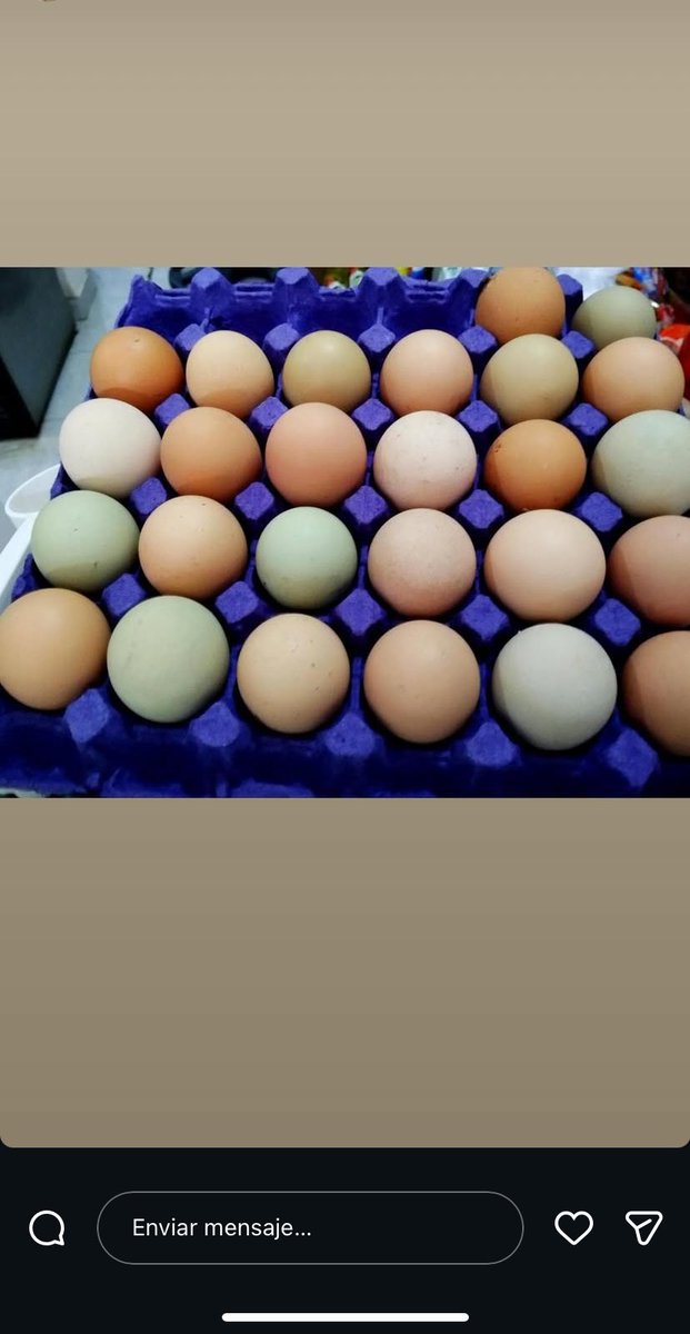 por favor que carajo subía mi mamá a la historia ella jura aesthetic