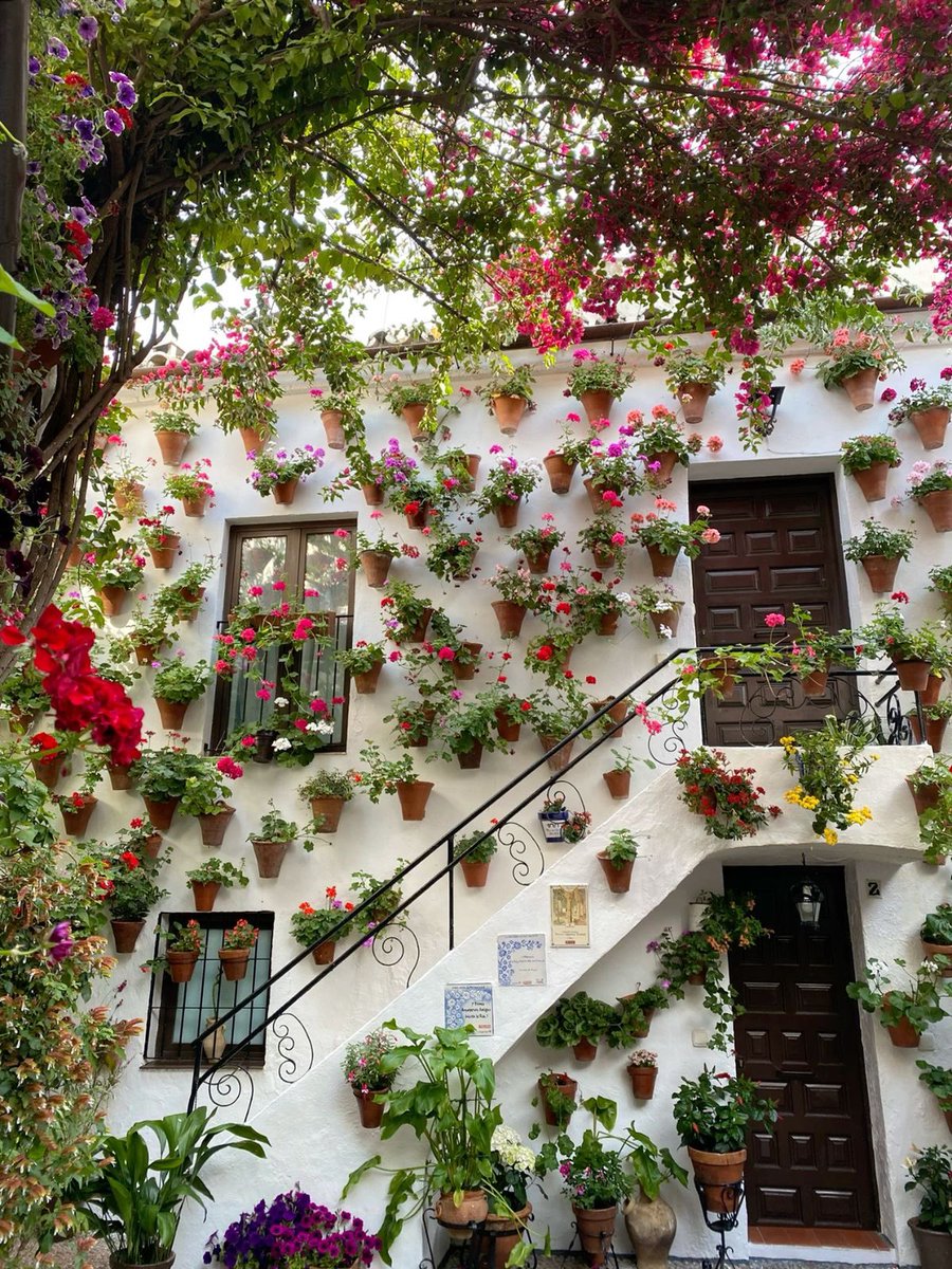 ๐๐ ๐๐๐๐๐๐ tweet media