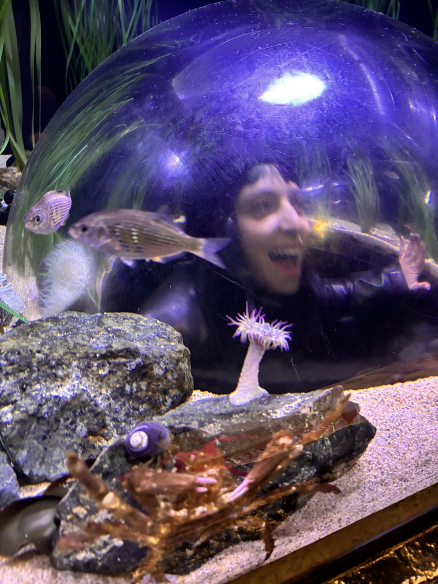 nevercaredonce's tweet image. mi linda esposa