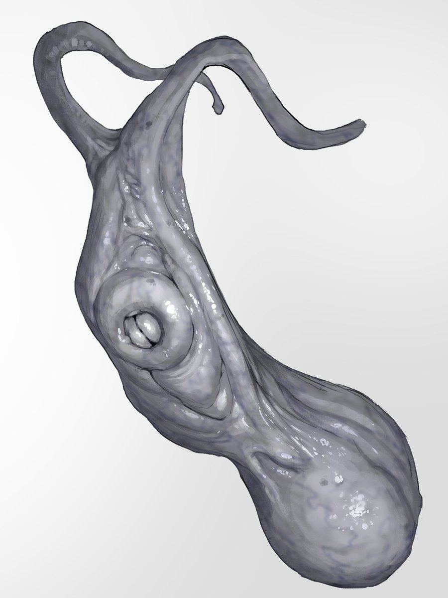 クリーチャーデザイン練習
40cmくらい? 