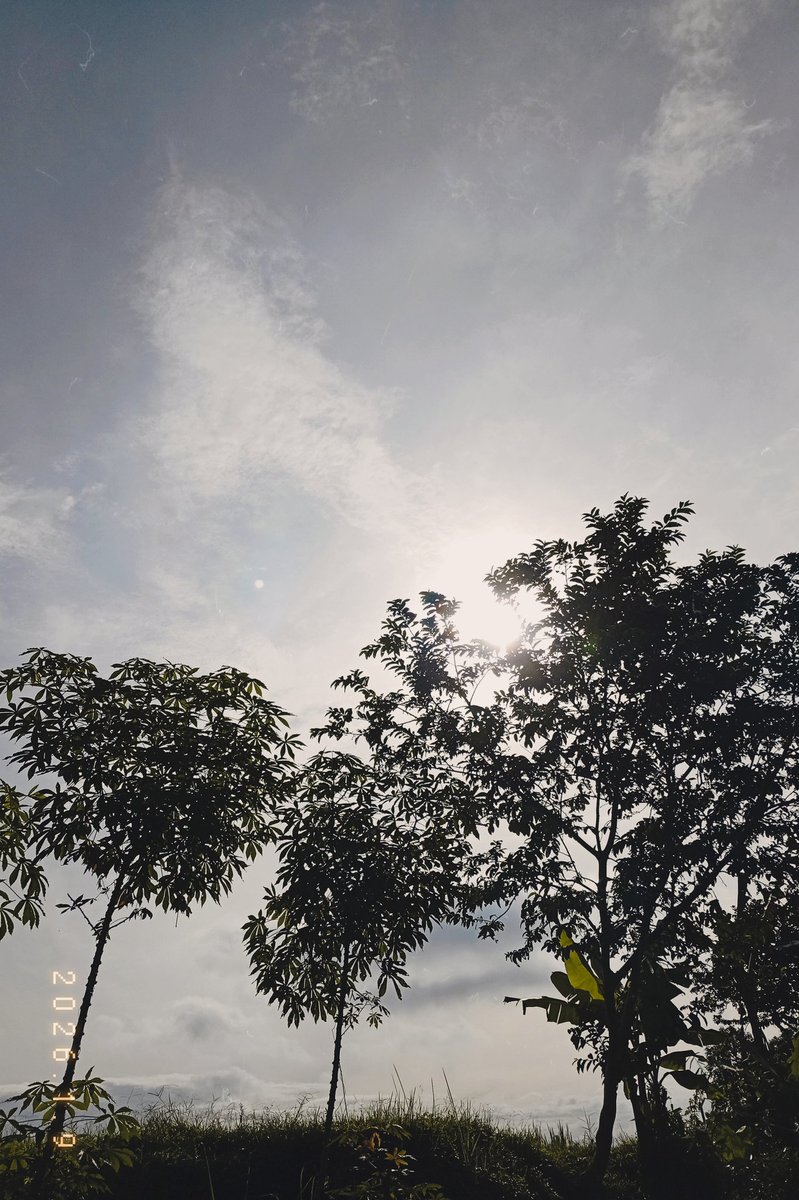 slowlylearner's tweet image. Good morning precious people🌞