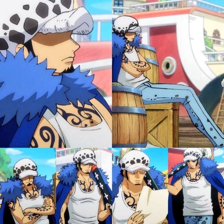 strawhats's tweet image. Trafalgar Law