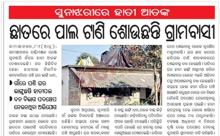 ଢେଙ୍କନାଳ ଜିଲ୍ଲା କାମାକ୍ଷନଗର ଅ଼ଞ୍ଚଳରେ ହାତୀ ଆତଙ୍କ,, ବନ ବିଭାଗ ପଦକ୍ଷେପ ନେଉ ନଥିବା ଅଭିଯୋଗ <a href="/CMO_Odisha/">CMO Odisha</a> <a href="/PRDeptOdisha/">Panchayati Raj and Drinking Water Department</a> <a href="/districtadmndkl/">District Dhenkanal</a> <a href="/ForestDeptt/">Odisha Forest, Env. and Climate Change Department</a> <a href="/DfoDhenkanal/">DFO DHENKANAL</a> <a href="/SKamakhynagar/">ଉପ-ଜିଲ୍ଲାପାଳ ,କାମାକ୍ଷାନଗର</a>