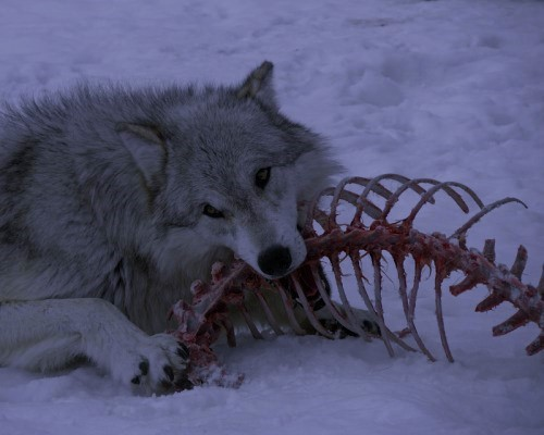 hakaelll's tweet image. 