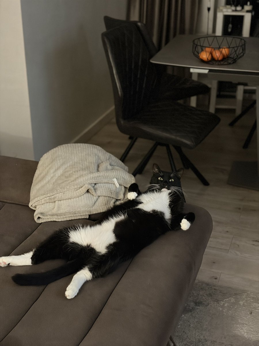 Санта (@jackjeka) on Twitter photo 