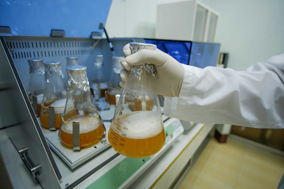 For specific industrial or specialized strains, we offer custom CRISPR method development services, providing a one-stop solution from vector design to established editing protocols and final strain construction. creative-biogene.com/services/crisp…