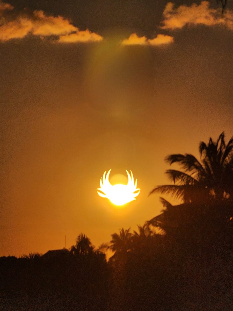 Fk_U_Radiance's tweet image. 💀