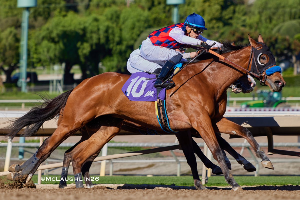 kimo16's tweet image. Impressive debut for French Blue (Gun Runner-Twenty Carat by Into Mischief) in race 4 today under Juan Hernandez for HoFamer Bob Baffert @santaanitapark @Three_Chimneys @BobBaffert @JJHernandezS19