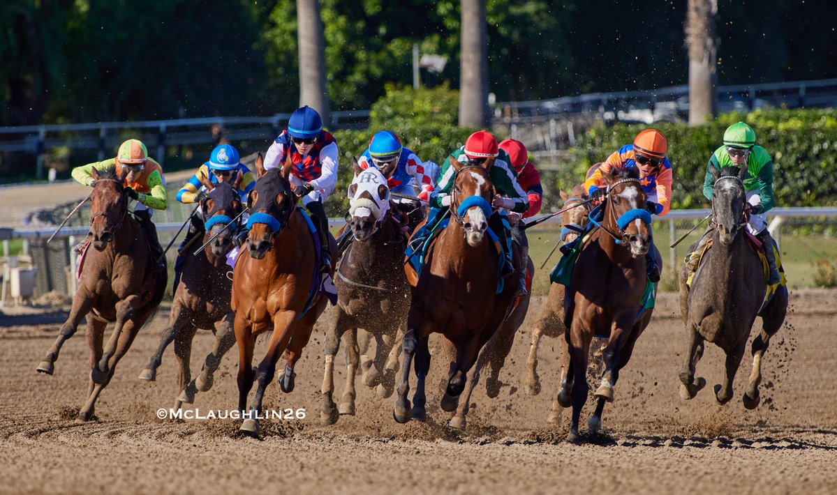 kimo16's tweet image. Impressive debut for French Blue (Gun Runner-Twenty Carat by Into Mischief) in race 4 today under Juan Hernandez for HoFamer Bob Baffert @santaanitapark @Three_Chimneys @BobBaffert @JJHernandezS19