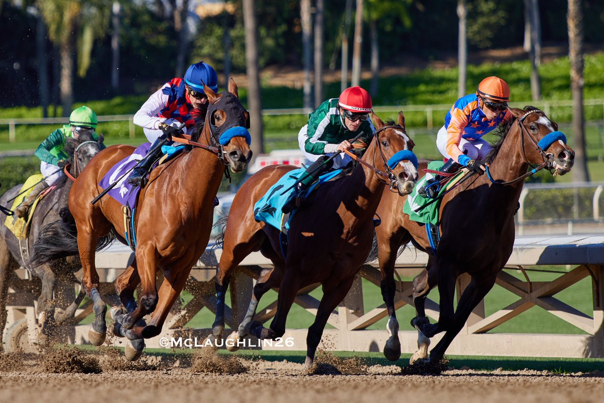 kimo16's tweet image. Impressive debut for French Blue (Gun Runner-Twenty Carat by Into Mischief) in race 4 today under Juan Hernandez for HoFamer Bob Baffert @santaanitapark @Three_Chimneys @BobBaffert @JJHernandezS19