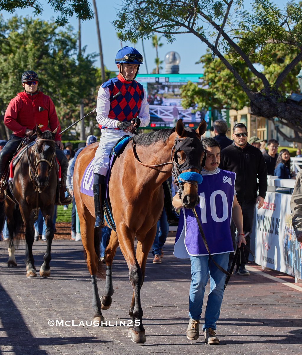 kimo16's tweet image. Impressive debut for French Blue (Gun Runner-Twenty Carat by Into Mischief) in race 4 today under Juan Hernandez for HoFamer Bob Baffert @santaanitapark @Three_Chimneys @BobBaffert @JJHernandezS19