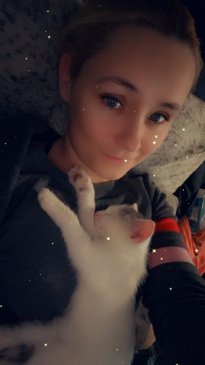 Who wants to buy my new kitten a toy?