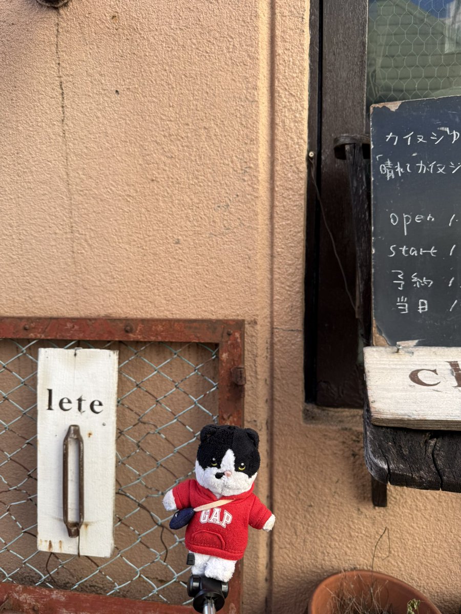 赤猫 杏 (@akanekoanzu) / Posts / X