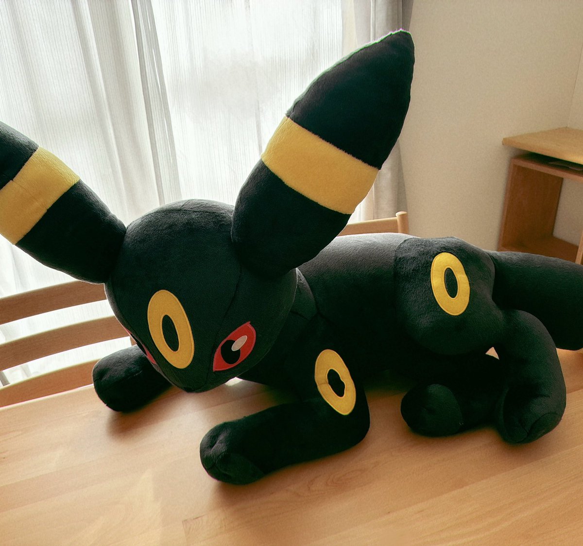 等身大ブラッキー届い た！！！！！！！！！！！！！！！！！！！！