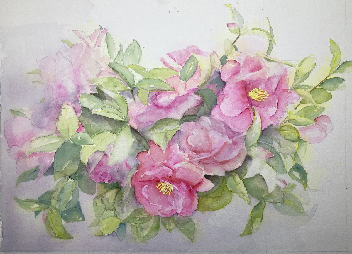 皆さん 山茶花の絵を上げてみえるので〜 過去絵を探してみました^_