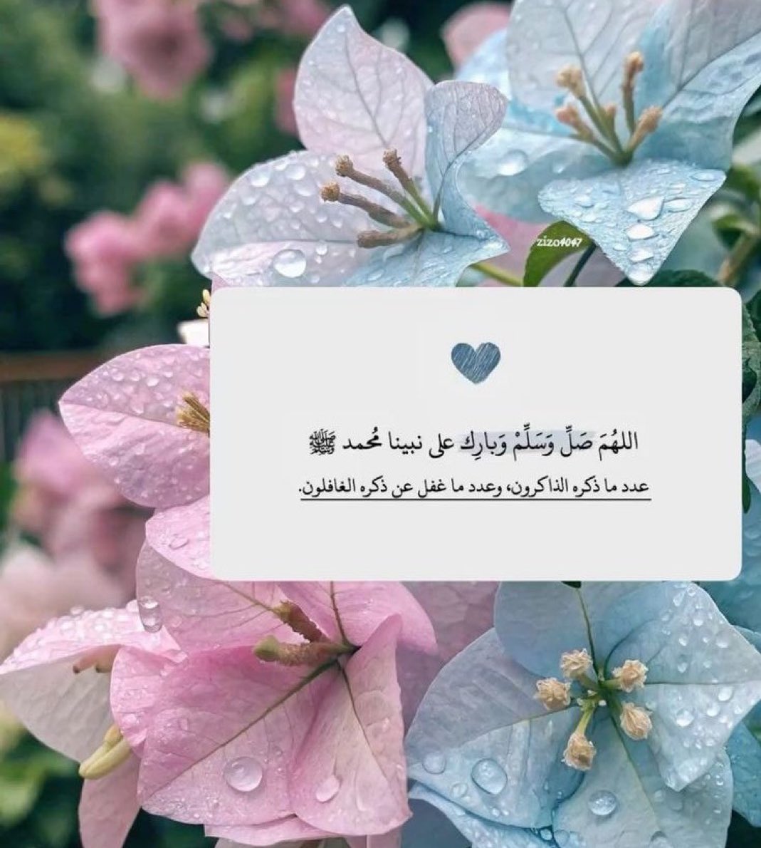 عندما يتأمّلُ الإنسانُ أنَّ صلاتَهُ على النبيِّ ﷺ تُعرَضُ عليه، يَستحي أن يكونَ قليلَ البِضاعةِ، قليلَ العددِ، لعظيمِ حقِّهِ علينا..
اللهُمَّ صلِّ وسلِّم على نبيِّنا محمّدٍ ﷺ
عددَ ما ذَكَرَهُ الذاكرون، وغَفَلَ عن ذِكرِهِ
الغافلون♥️🕊️.

#يوم_Iلجمعه