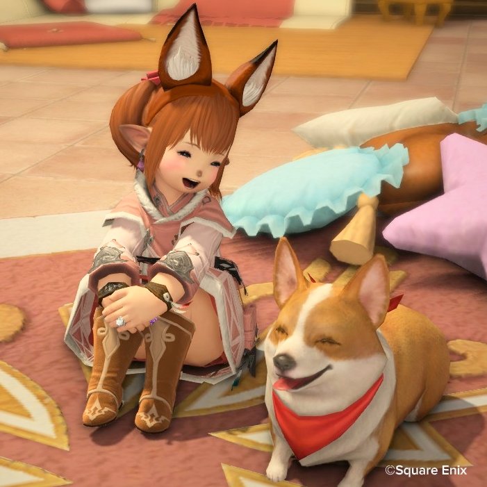 チャッピー🦊🐾 (@CHAPPIKA38) / Highlights / X