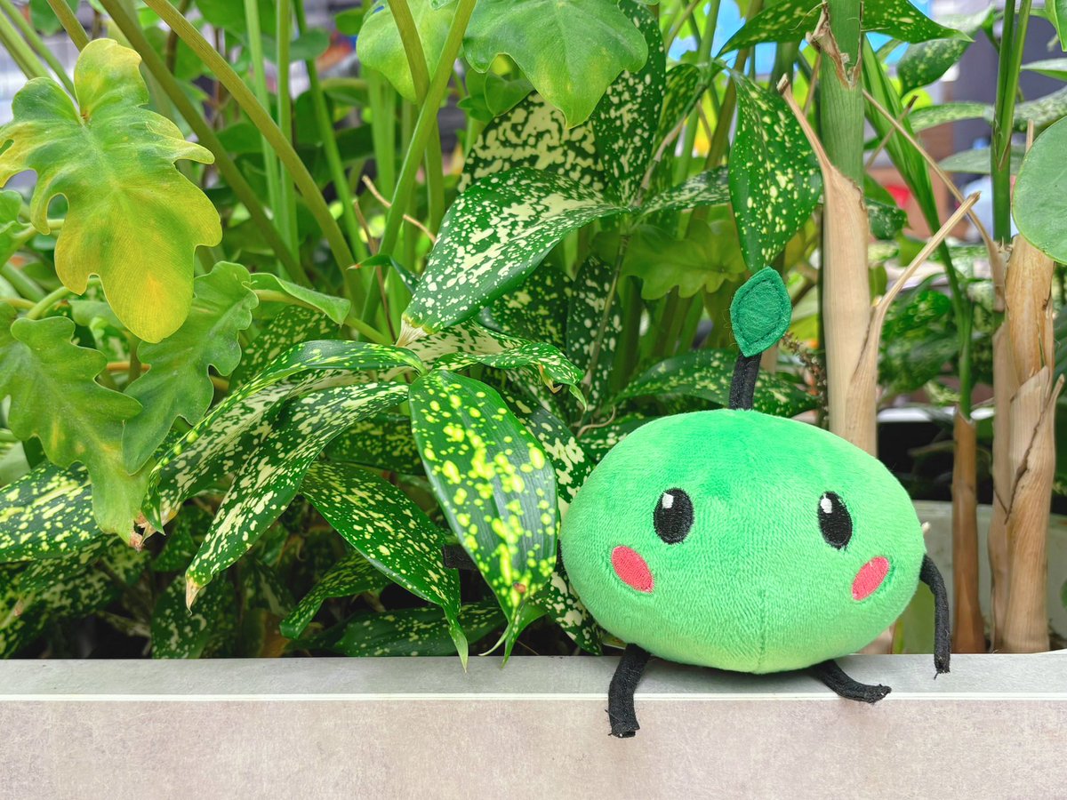 ぱむぱむ🐹🐟@skeb (@pamupamu__u) / Posts / X