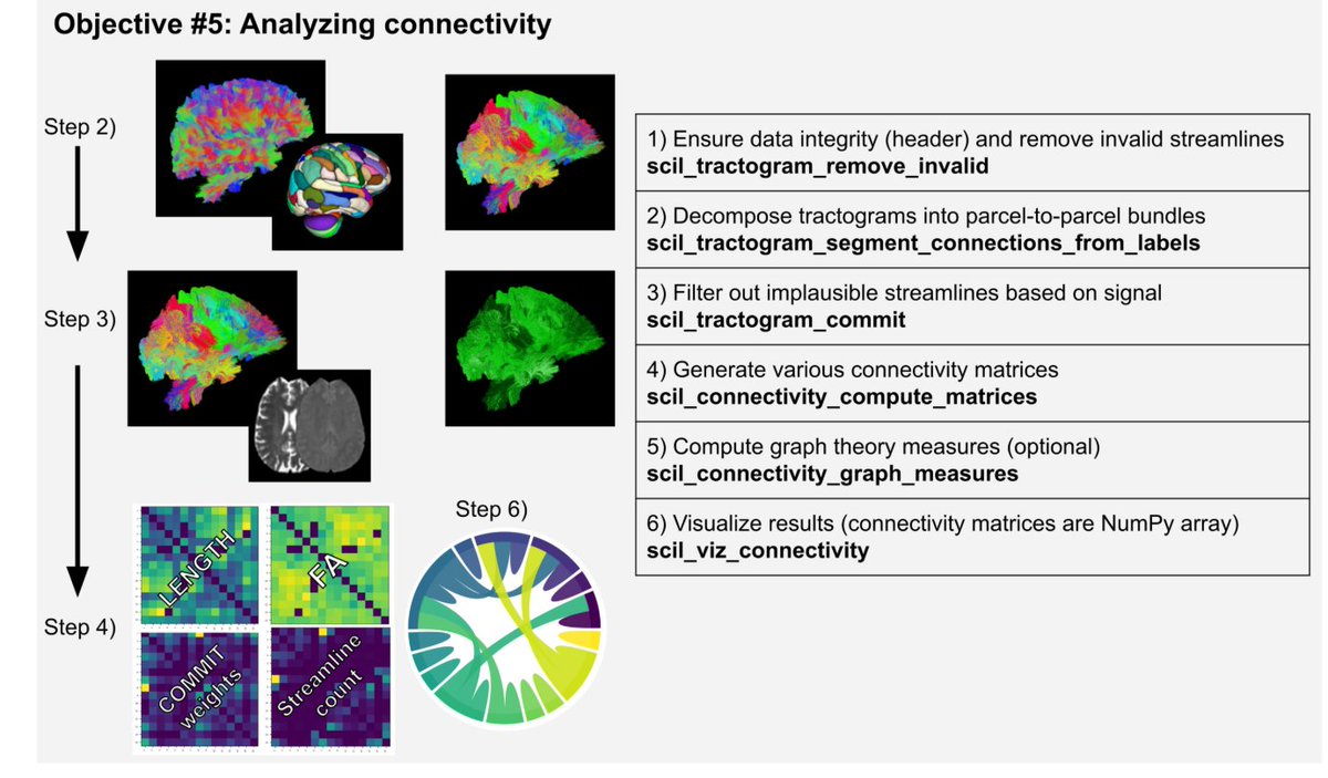 Andrew Zalesky tweet media
