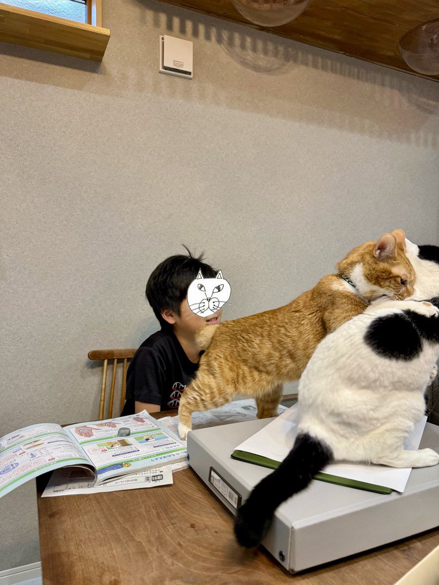 まぁまぁ、ケンカはやめたまえ……ｽｩｩｩｳ……」と、猫吸いをする息子。 仲裁