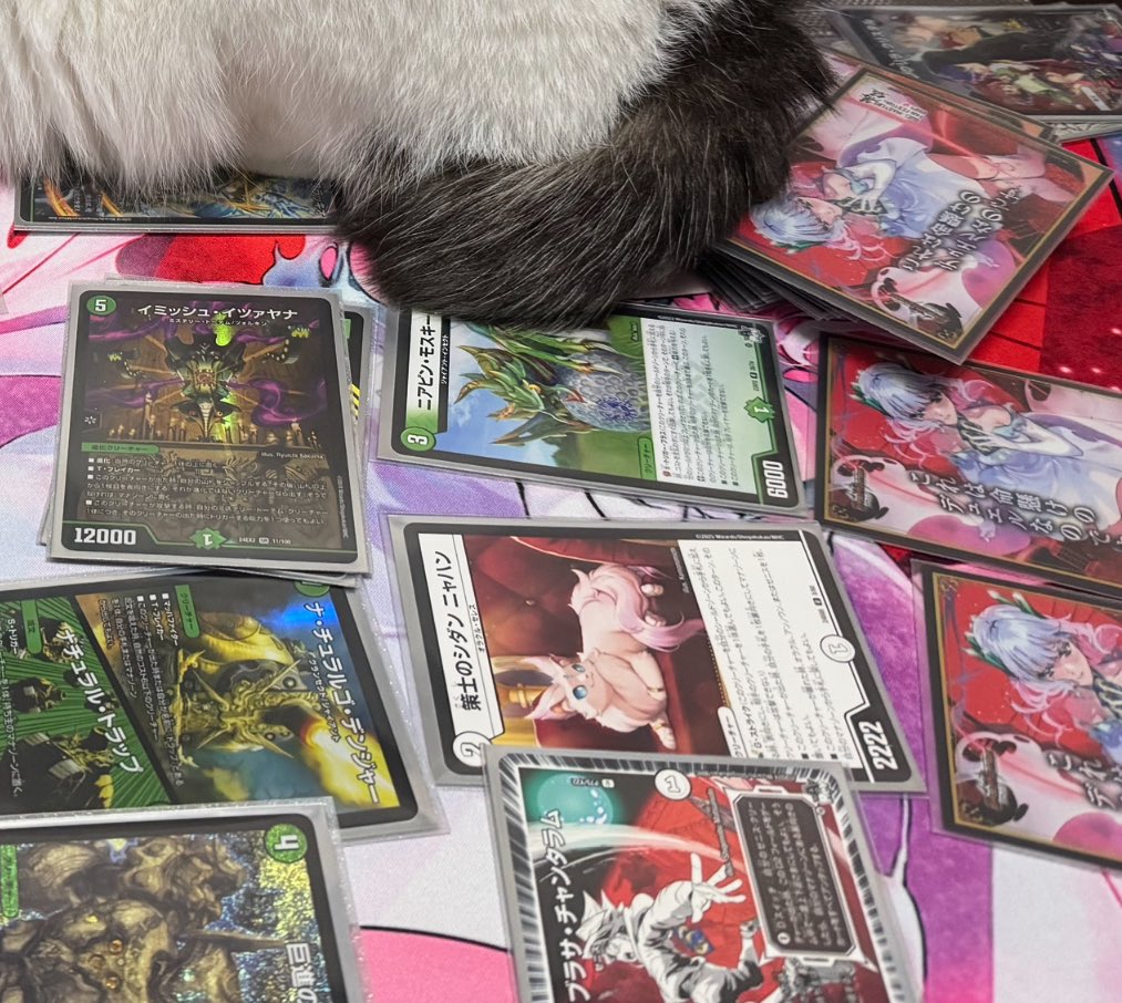 デッキ破壊ワールドブレイカー猫