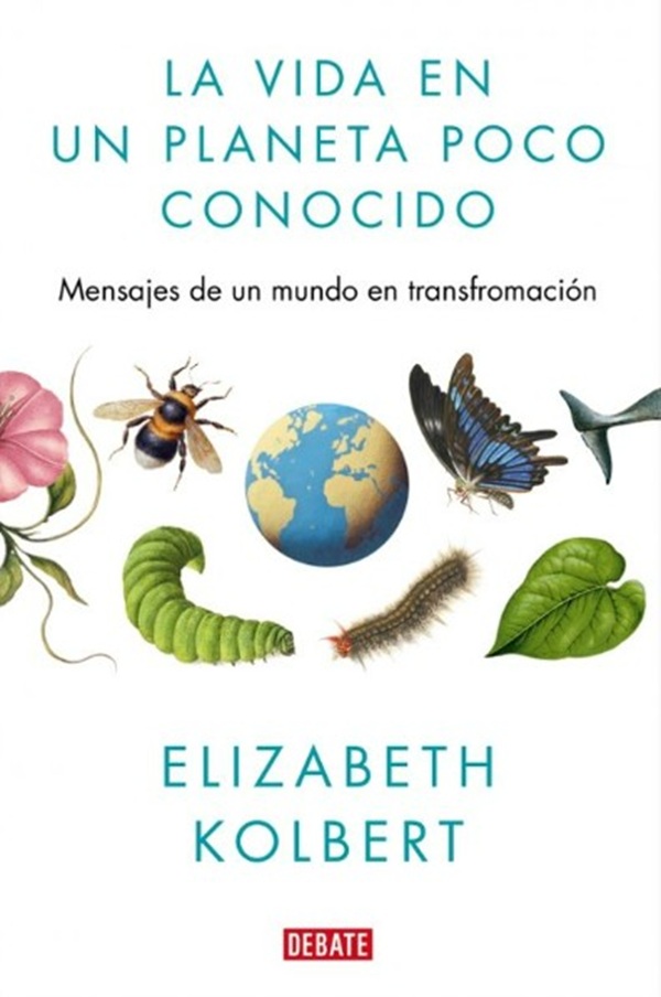 CRCiencia's tweet image. BIBLIOTECA CIENCIA 📚🆕
La vida en un planeta poco conocido. Mensajes de un mundo en transformación (Elizabeth Kolbert)
penguinlibros.com/es/ciencia-y-t…
vía @debatelibros @penguinlibros 
#Climatologia #Ecologia