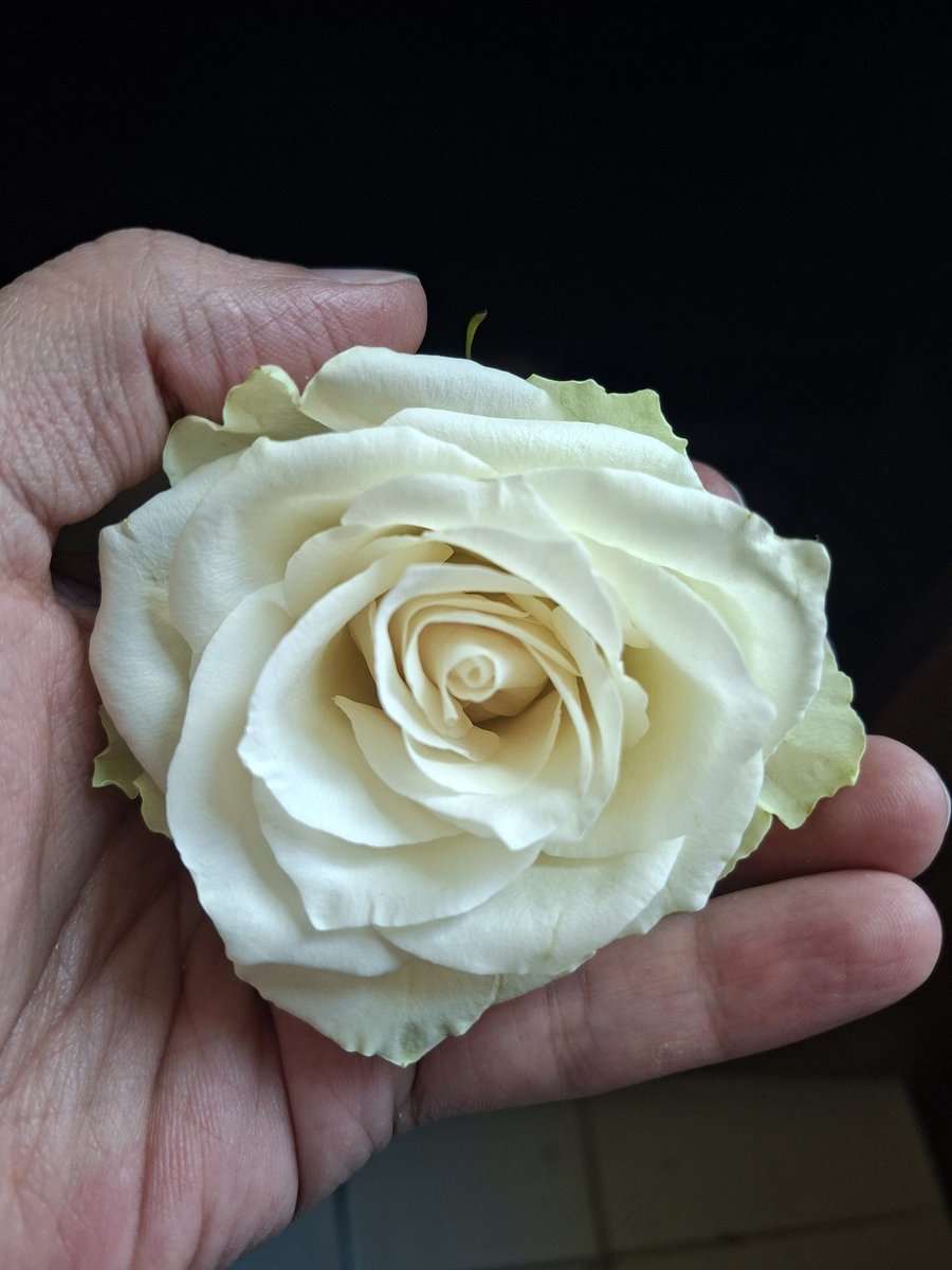 "قواعد السعادة السبعة"
▪️ لا تكره احداً مهما اخطأ في حقك
▪️لا تقلق أبداً مهما بلغت من الهموم
▪️عش في بساطه مهما علا شأنك
▪️توقع خيراً مهما كثر البلاء
▪️اعطي كثيراً ولو حرمت
▪️ابتسم ولو القلب يقطر دماً
▪️لا تقطع دعائك لأخيك  بظهر الغيب.
#وطن_حُر 🦅