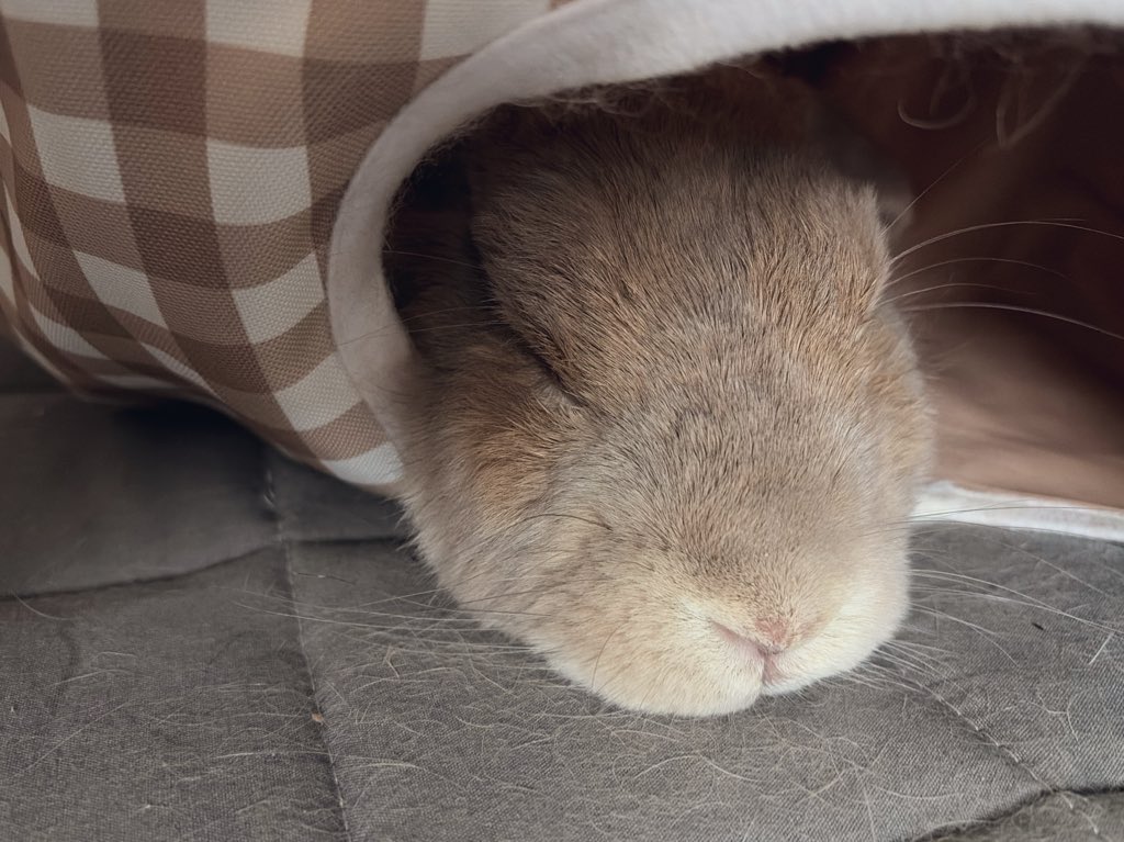 그만 귀여워라 즌짜