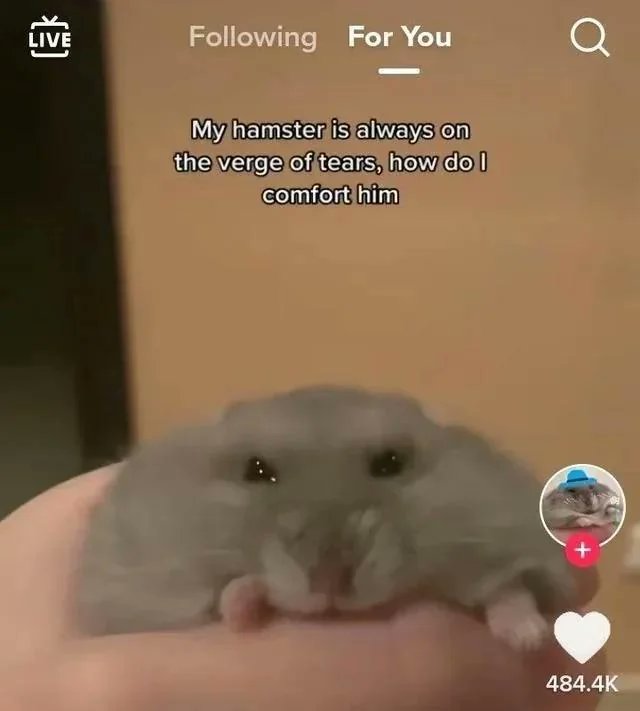 imagesaicouldnt's tweet image. 