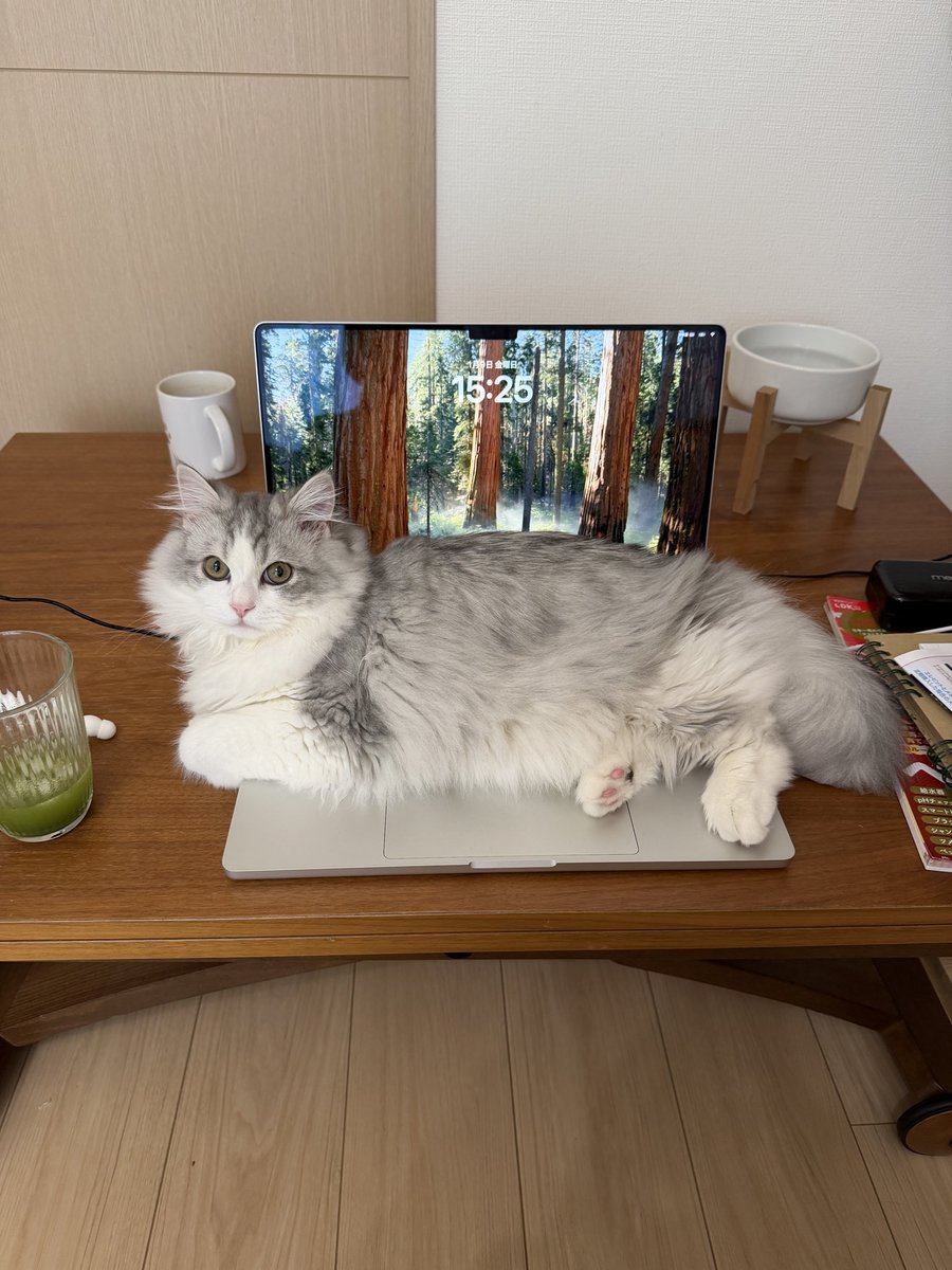 しっぽっぽい えびてんのしっぽ」「えびふらいのしっぽ」に、「あじふらいのしっぽ