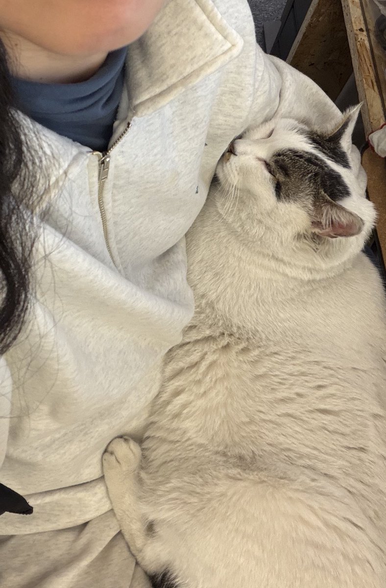 어리광부리는강 강이 자는 동안 업무 중지