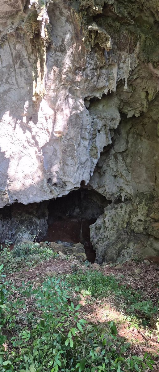 Fabrice Demeter tweet media