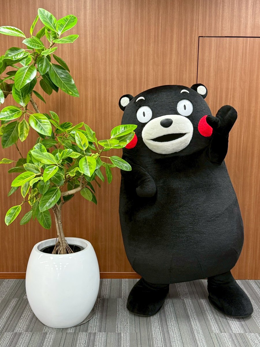 SC (@SC67312272) / Posts / X