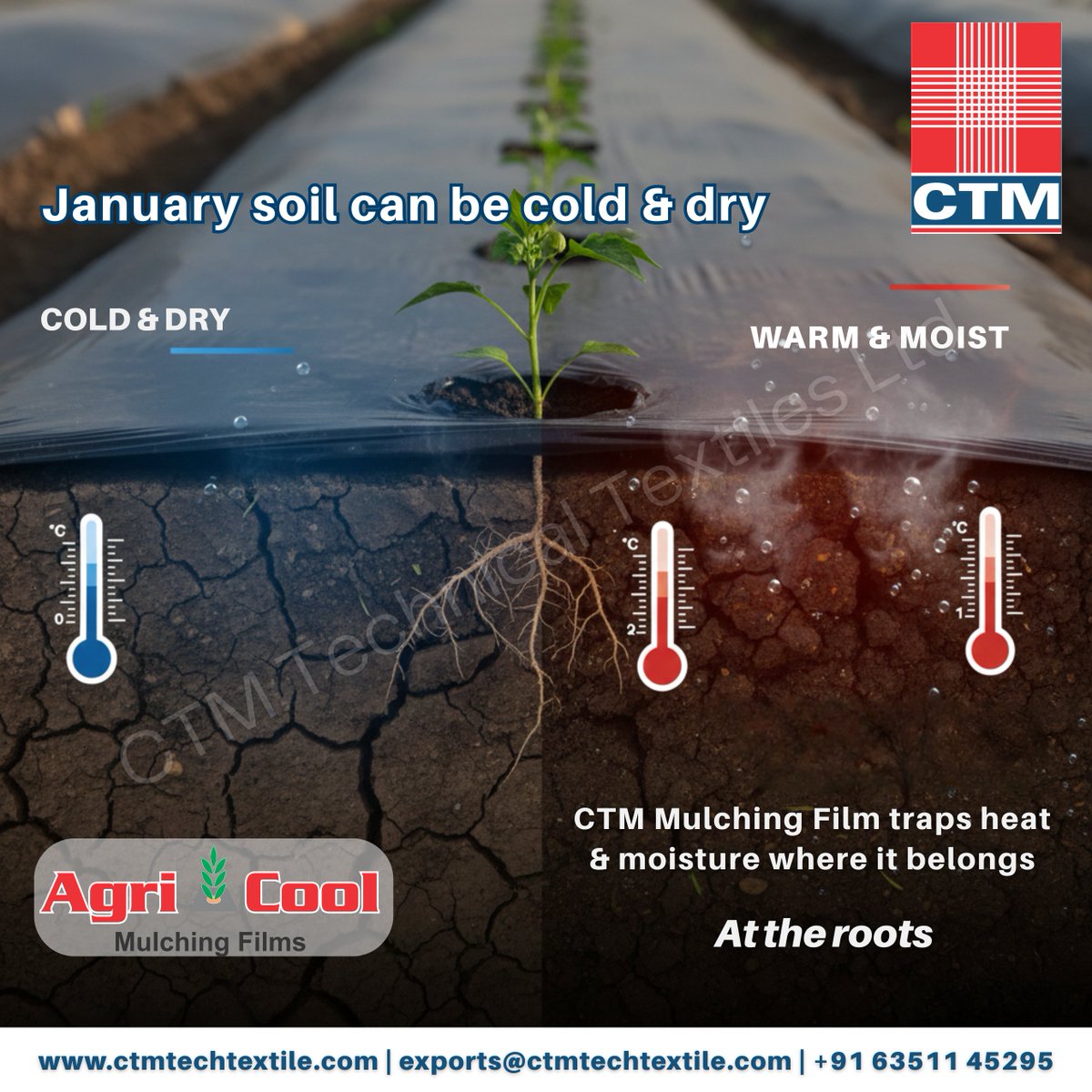 ctm_techtextile's tweet photo. Planning to transplant Chilli or Tomato this January? To get the best yield, your soil management must be top-notch. Here is why CTM Mulching Film is the #1 choice for smart farmers this season. 

#AgriTech #CTM #Mulching #Tomato #Chilli #Farming #Sustainability #SmartFarming https://t.co/9pFP2iHbyj
