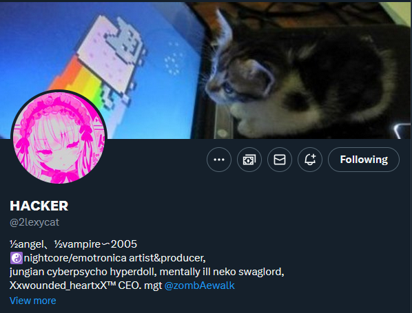 lexycatfans's tweet photo. LEXYCAT IS NOW #HACKED https://t.co/Gn9PiXrneI