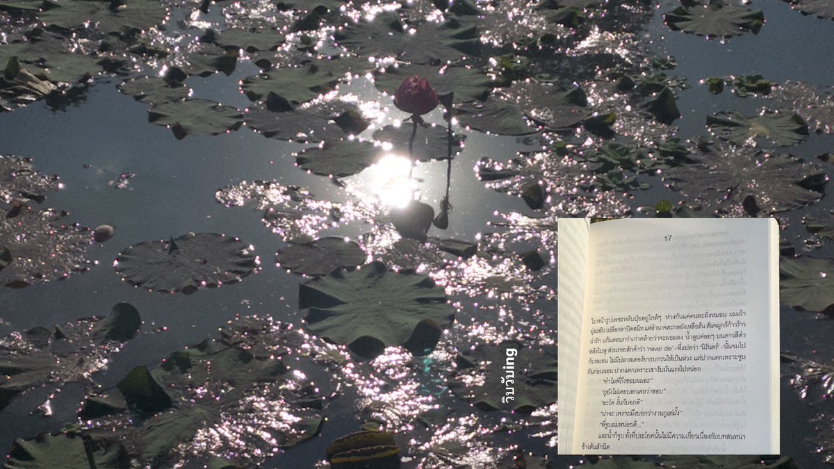 madeyellowdisk's tweet image. #เดนดาวneverdie