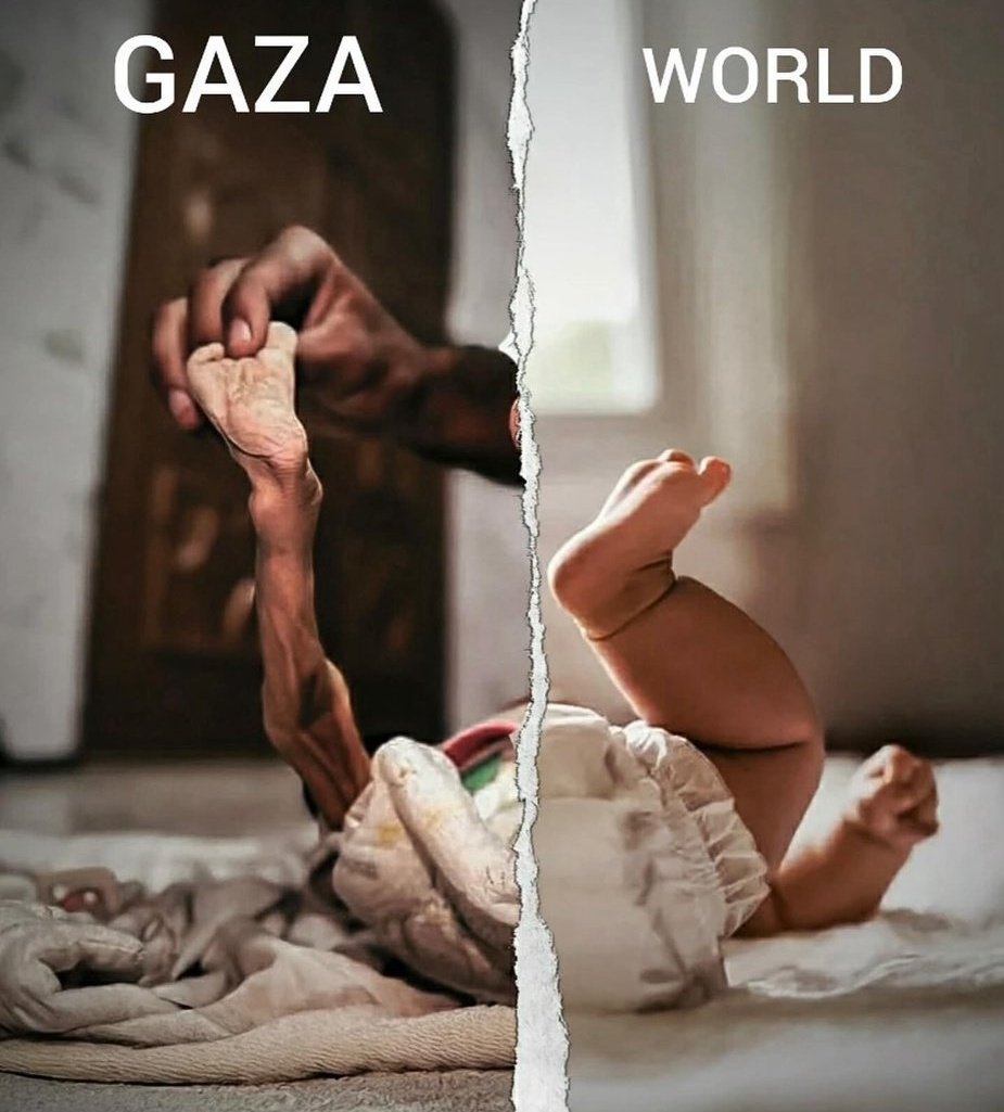 abdullah_Da10's tweet image. I do my best to provide my son with all he needs👩‍👦but it has become difficult in our conditions. I hope you  can support my campaign.

DONATE/RT🤍
gofund.me/de29e6e0