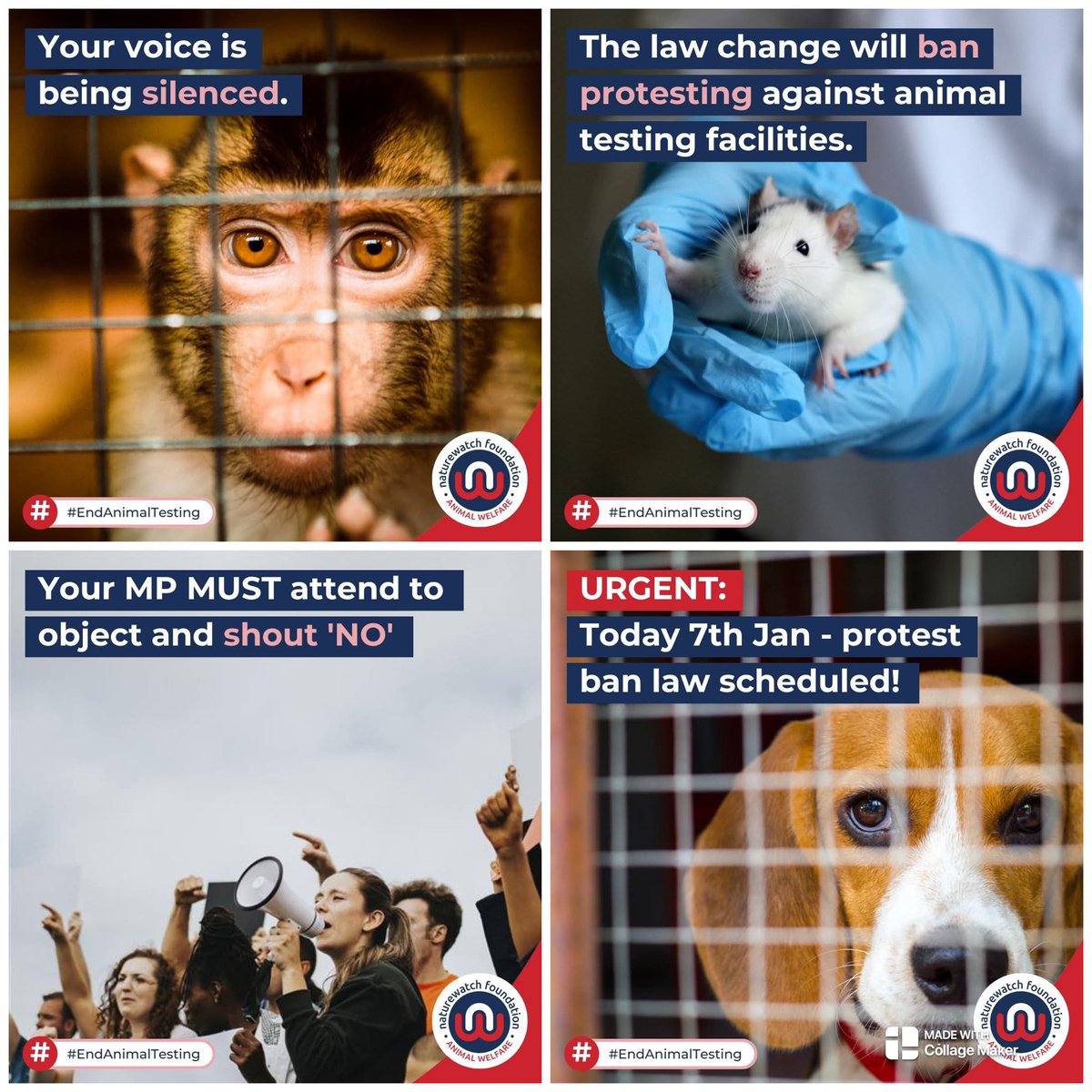 Today could be the most important day to keep our right to have a voice! 📢

The UK Government has now scheduled the push-through of the amendment to the Public Order Act 2023 to include facilities linked to animal testing 

This means that it could soon be a crime, with up to 12