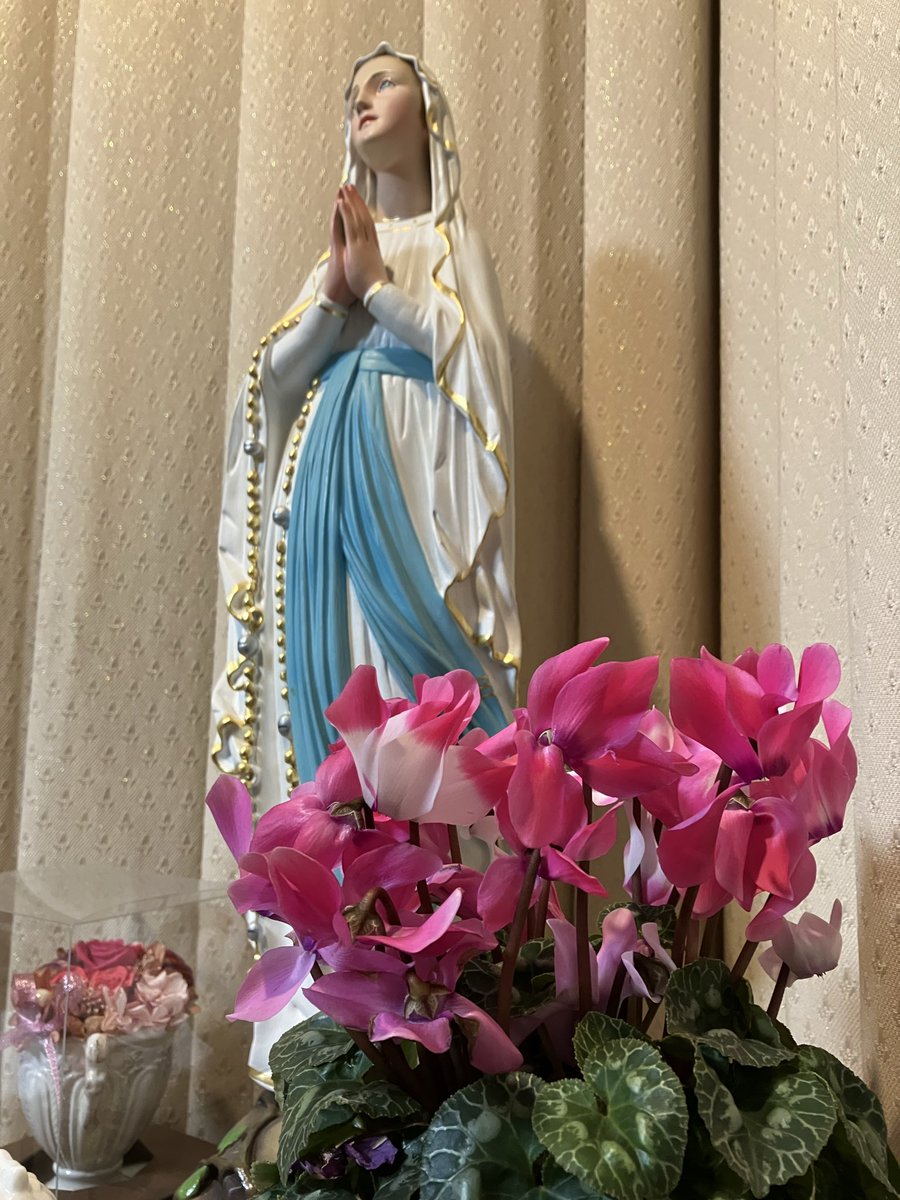 MAYU (@WKrPCHMxcU72P9I) / Posts / X