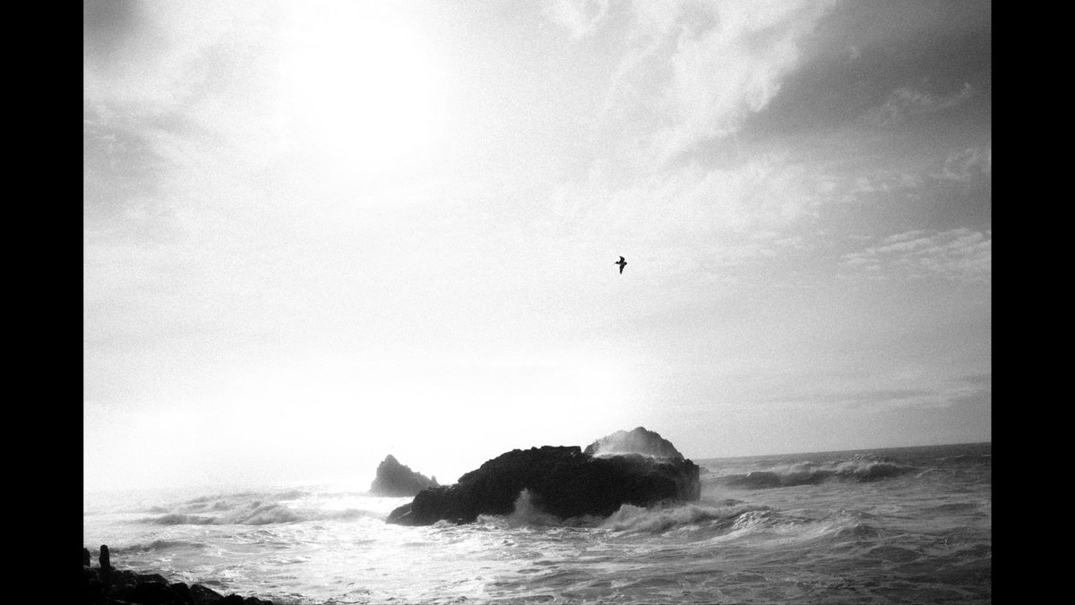 nadishsood's tweet photo. Sutro baths/Lands end

#SanFrancisco #LandsEnd https://t.co/UkSOeY1vXL